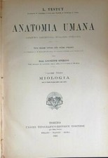 Anatomia umana volume usato  Italia
