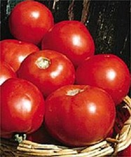 Basket vee tomato for sale  North Collins
