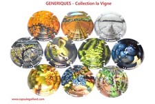 Série capsules champagne d'occasion  Courcy