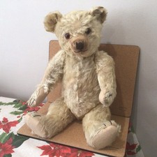 chiltern bear for sale chiltern bear for sale TAUNTON