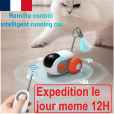 Jouer chat interactif d'occasion  Darnétal