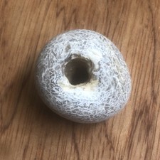 Hag stone for sale  RYE