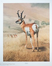 Beautiful pronghorn lithograph for sale  Orlando
