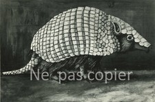 Tatou peint francis d'occasion  Paris V