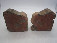 Petrified wood book for sale  Albuquerque