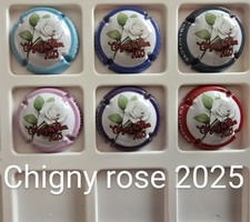 Capsules champagne chigny d'occasion  Troyes