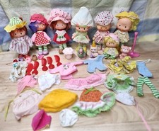 Enorme LOTE de 34 peças de morango para animais de estimação e roupas e 7 bonecas vintage,  comprar usado  Enviando para Brazil