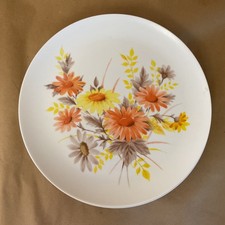 Vintage summer daisy for sale  Fayetteville