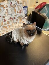 Gorgeous himalayan cat for sale  Coventry