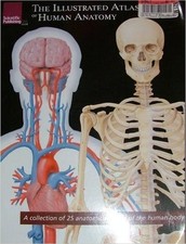 Illustrated atlas human for sale  Buford
