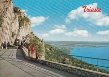 Cartolina trieste panorama usato  Trieste