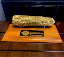 *Raro* Vintage 1956 Dekalb Gold Ear Of Corn Sales Trophy -Tamanho Real Cob-12”x6” comprar usado *Raro* Vintage 1956 Dekalb Gold Ear Of Corn Sales Trophy -Tamanho Real Cob-12”x6” comprar usado  Enviando para Brazil