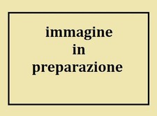 Ernst cassirer strutturalismo usato  Italia