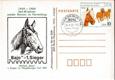 rennpferd gebraucht kaufen rennpferd gebraucht kaufen Deutschland