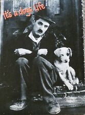 Charlie chaplin dogs for sale  DUNDEE