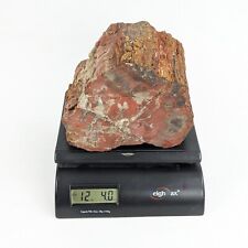 Petrified wood chunk for sale  Malibu