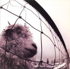 RARE Pearl Jam 'Vs'  First Edition Gatefold 1993 Epic Associated NEAR MINT  comprar usado  Enviando para Brazil