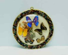 Vintage taxidermy real for sale  Sweet Grass