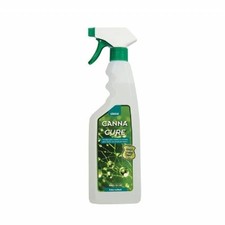 Canna cure spray usato  Roma