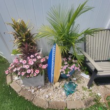 Lot surf board for sale  Dayton
