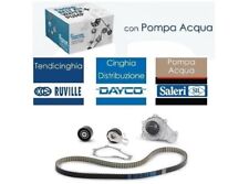 Kit distribuzione pompa usato  Casapesenna
