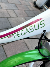 Pegasus avanti atb gebraucht kaufen  Iserlohn