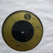 Ramones sheena punk for sale  ABERGELE
