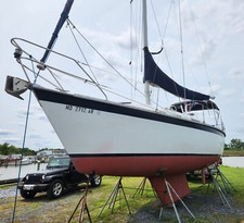 1984 hunter sailboat for sale  Tilghman