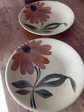 Plats gien vintage d'occasion  Monclar-de-Quercy