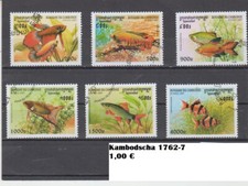 Fische zierfische kampffisch gebraucht kaufen  Olfen