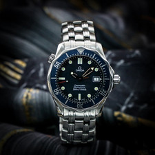 Omega seamaster professional for sale  Hayward