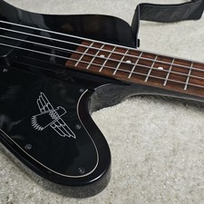 Epiphone bird pro gebraucht kaufen  Essen