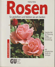 Rosen gedeihen blühen gebraucht kaufen  Neuss