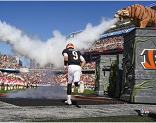 Foto de entrada pré-jogo assinada por Joe Burrow Cincinnati Bengals não assinada comprar usado  Enviando para Brazil