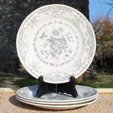 Set assiettes plates d'occasion Set assiettes plates d'occasion  Cerisy-la-Salle