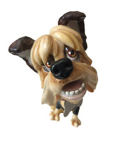 Little paws bonnie for sale  PERRANPORTH