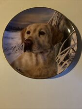 Franklin mint labrador for sale  SUNDERLAND