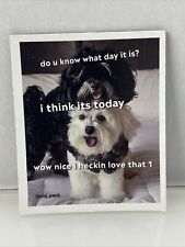 Havanese dog puppy for sale  Avon