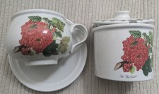Portmeirion pair redcurrant for sale  MILFORD HAVEN