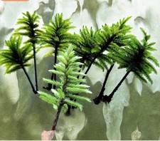 Live american tree for sale  Saint Ignace