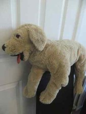 Large floppy puppy for sale  LEICESTER