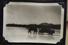 1940s photo album for sale  Buffalo