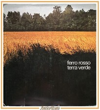 Ferro rosso terra usato  Bari
