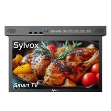 Sylvox 15.6 inch for sale  Ontario
