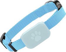 Collare localizzatore gps usato  Roma