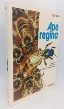 Ape regina. selezione usato  Arezzo