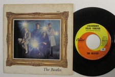 Rock beatles strawberry for sale  Saint Louis