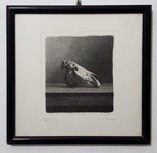 Gianfranco ferroni bucranio usato  Correggio