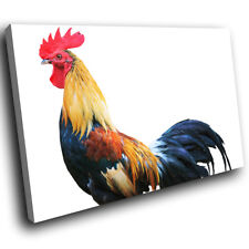 A352 brown rooster for sale  STRABANE