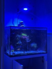 Marine tank salt for sale  BIRMINGHAM